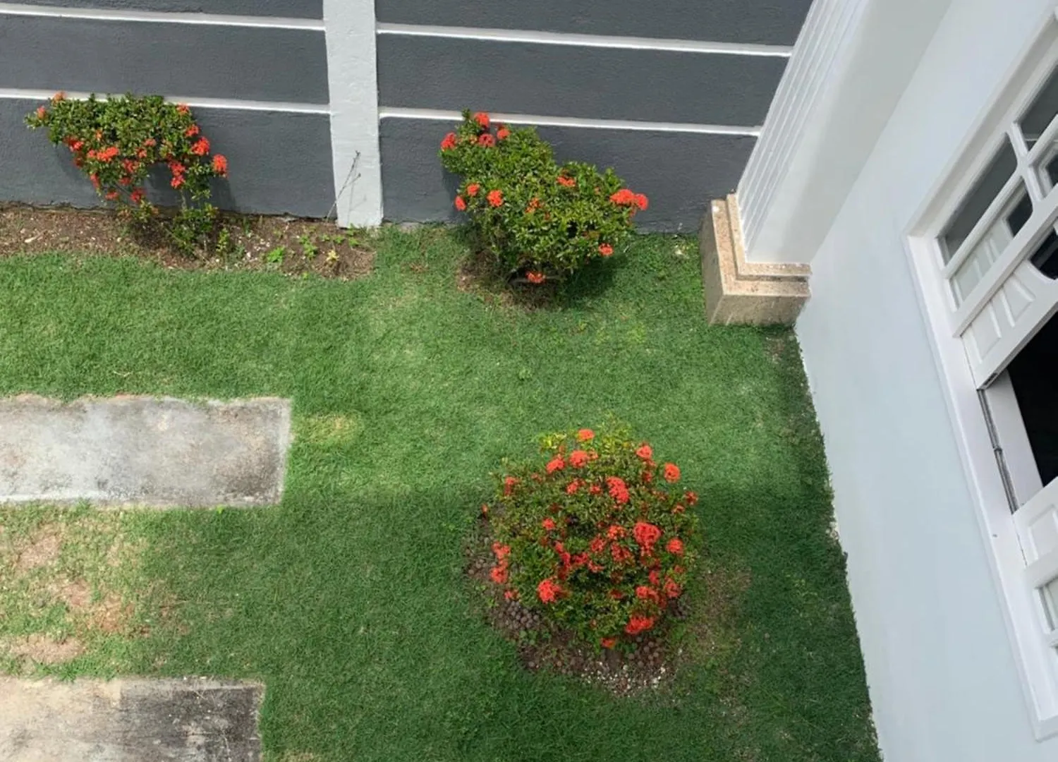 Pousada Casa Branca Brasil - 100 M Da Passarela Do Alcool Porto Seguro Homestay